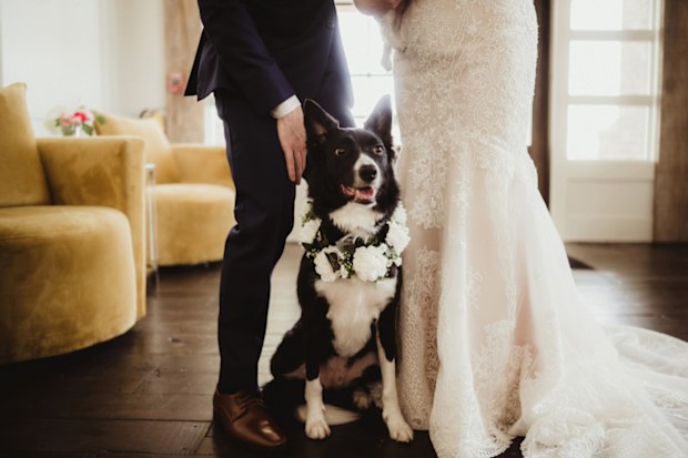 bride puts parents and dog on wedding