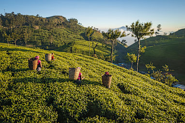 5. Sri Lanka