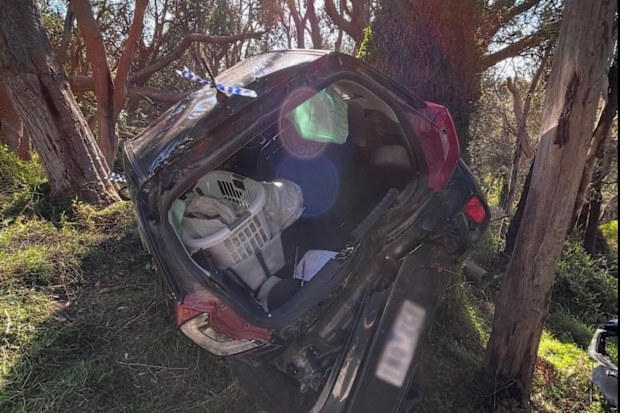 Dena Amy Kaplan car crash