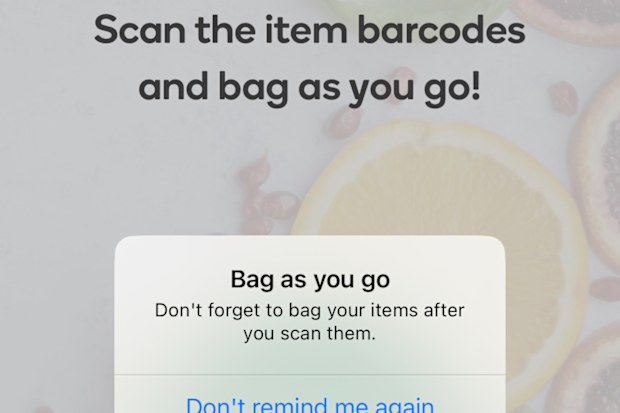 woolworths scan & go