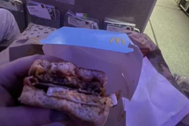 Airplane food opinion. Chloe Longhetti/9travel.