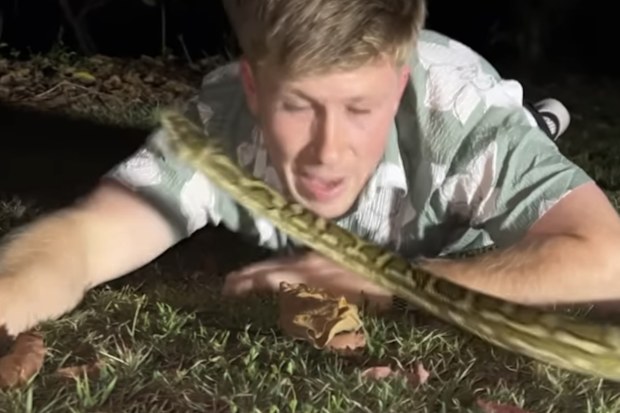 Robert Irwin almost bitten by a snake on the face during rescue | Nine ...