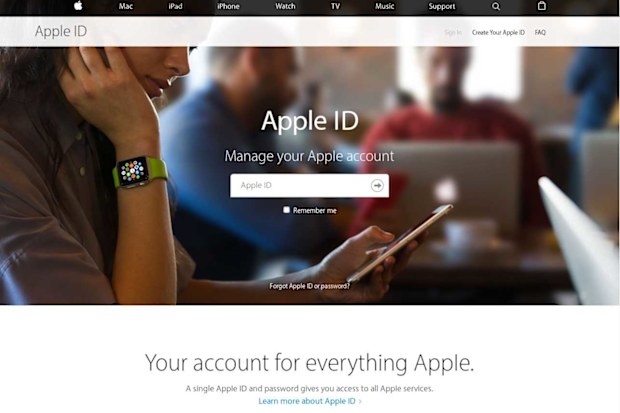 The fake Apple login page