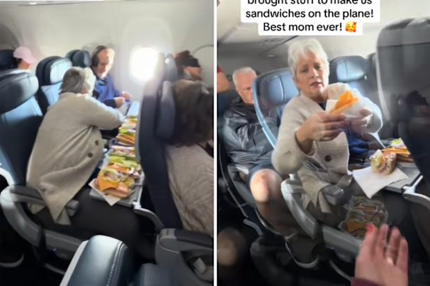 plane sandwiches