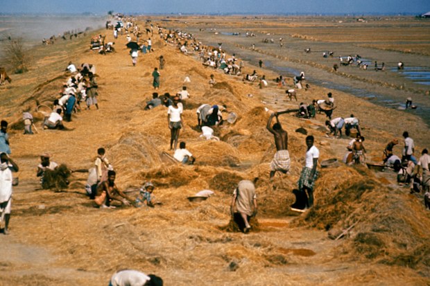 Cyclone Bhola killed half a million people fifty years ago | Nine.com.au