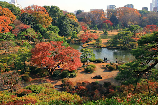 Rikugien Garden Tokyo