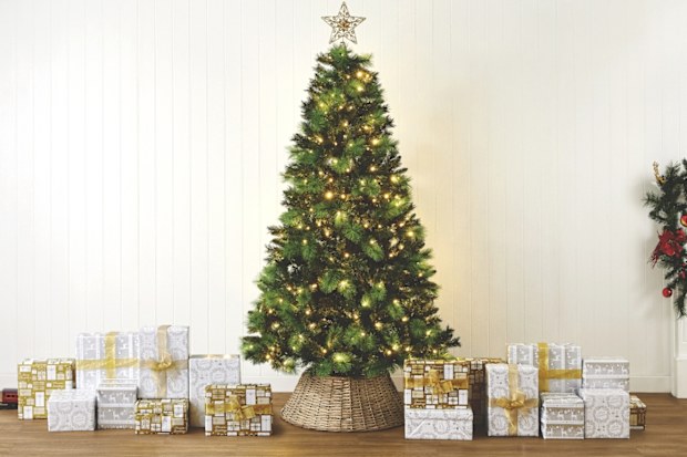 Aldi Christmas tree Winchester luxury pre-lit 2024