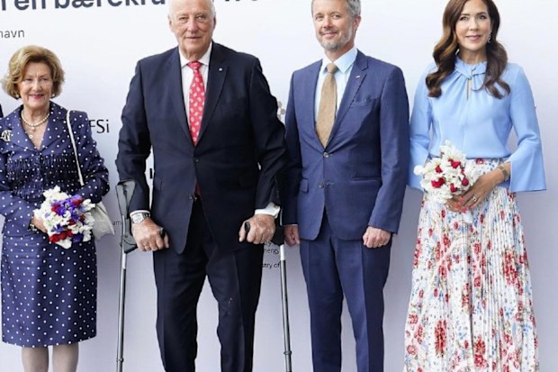 Princess Mary business conference blue shirt and floral skirt