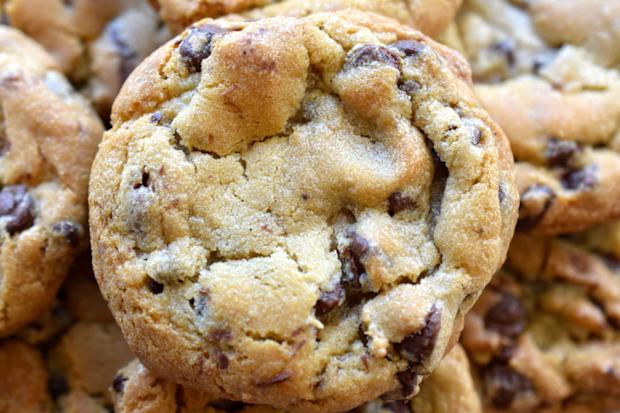 Chocolate chip cookies generic