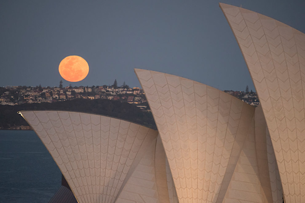 A super moon rises above the skyline behind the Sydney Opera House on September 28, 2015.
