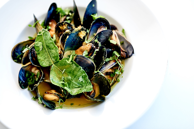 Bannisters by the Sea mussels