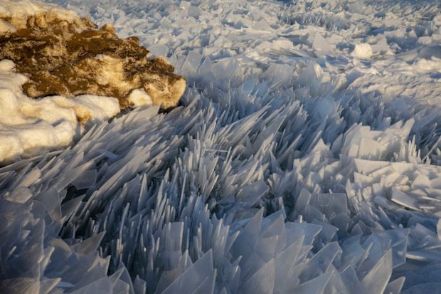 Michigan Ice Shards