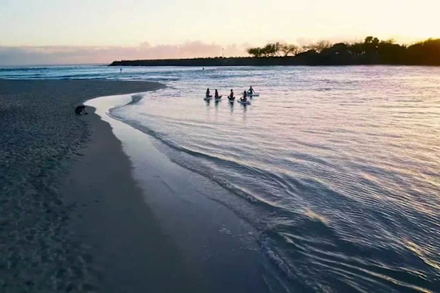 Pure Aloha Yoga