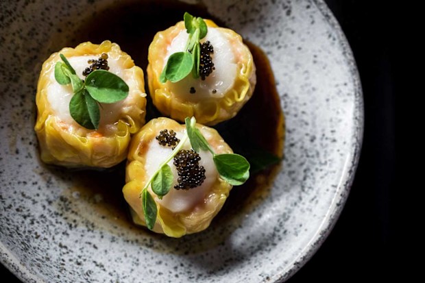 Billy Ho dumplings
