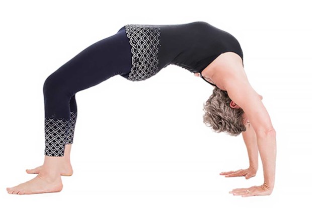 Yoga wheel pose