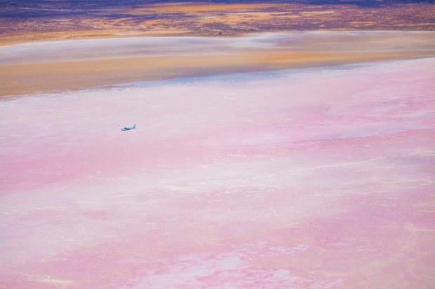 Pink Lake Eyre