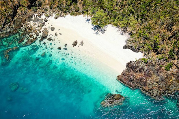 Daydream Island's Lover's Cove, blanketed in coral.