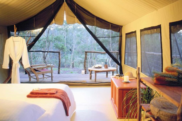 Paperbark Camp Deluxe Jervis Bay glamping