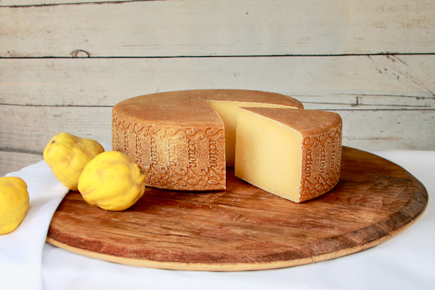 Monforte wheel from the Adelaide Hills