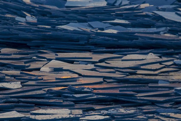 Michigan Ice Shards