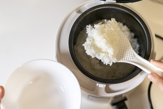 Rice cooker / steamer, stock image