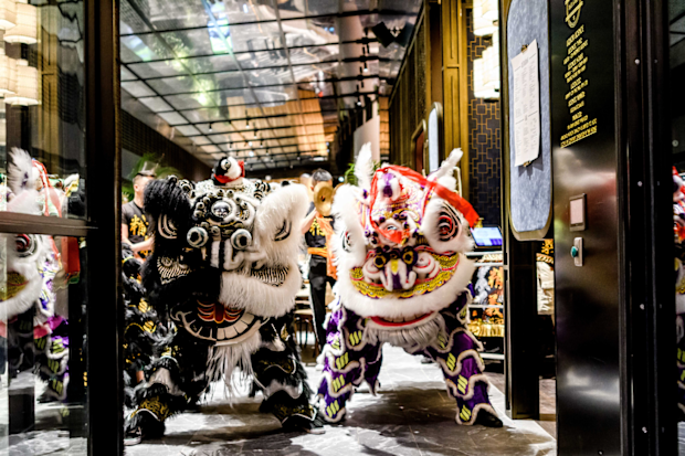 Chinese New Year celebrations featuring Lion dancers at Duck & Rice, Westfield Sydney