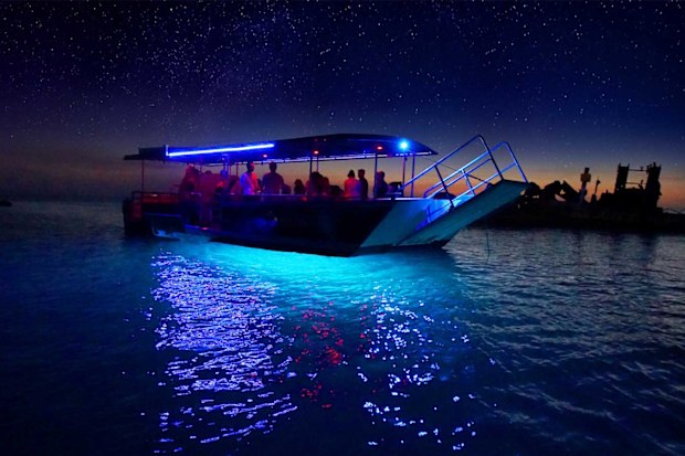 Tangalooma wrecks night glass bottom boat tour 
