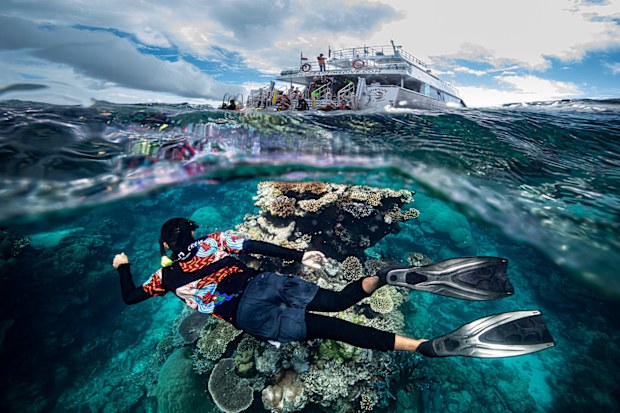 Dreamtime Dive and Snorkel, Qld