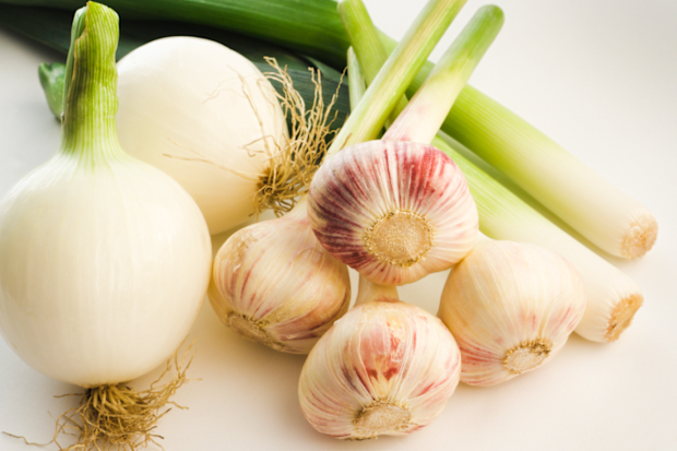 Leek, onion, garlic 'fertiliser foods'