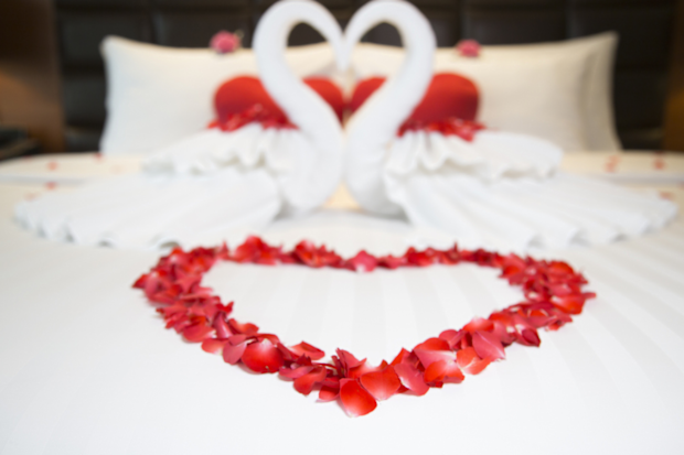 Hotel honeymoon rose petal display on bed
