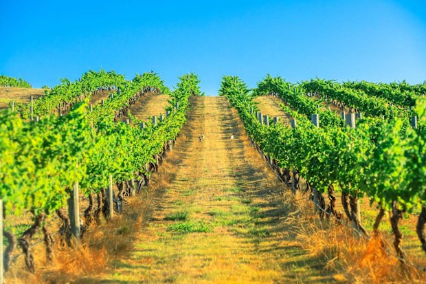 Margaret River winery