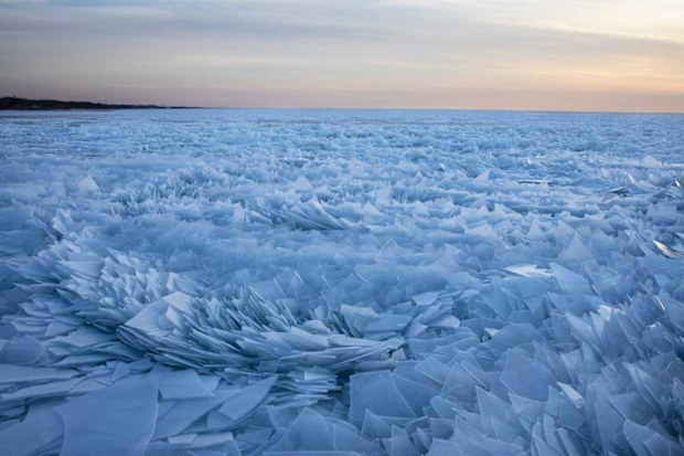 Michigan Ice Shards