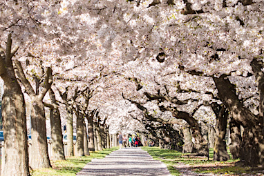 Christchurch, New Zealand