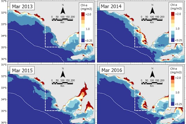 Integrated Marine Observing System (IMOS) data uncovered a "missing link" of subsurface phytoplankton in the Great Australian Bight.