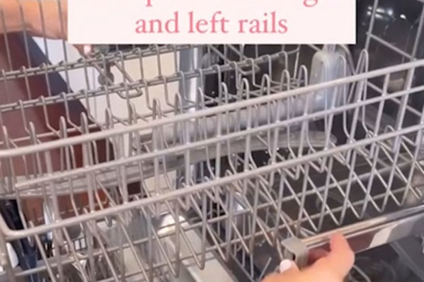 Dishwasher hack