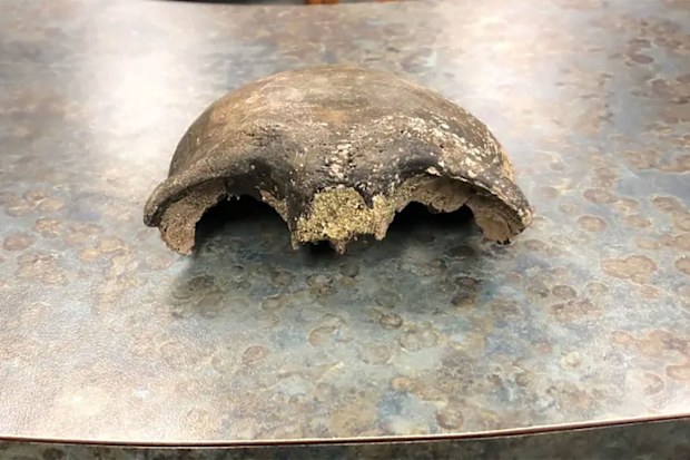 The skull was recently carbon-dated to between 5,500 and 6,000 B.C.