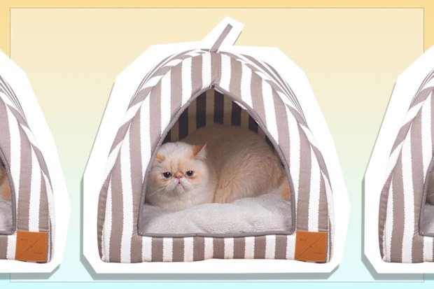 9PR: Mog & Bone Cat Igloo, Latte Hampton Stripe Print