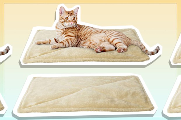 9PR: FurHaven ThermaNAP Self-Warming Dog and Cat Mat, Cream