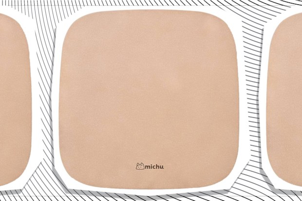 9PR: Michu XXL Deluxe Cat Litter Box Lid