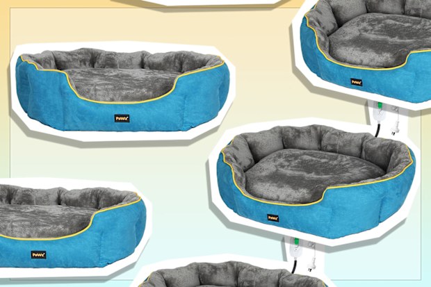 9PR: PaWz Electric Heated Pet Bed, Medium, Blue