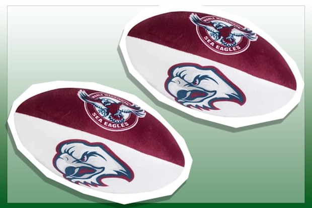 9PR: Sea Eagles Soft Plush Ball