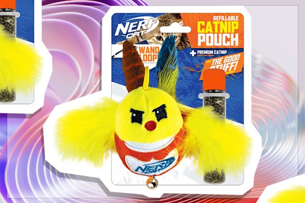 9PR: Nerf Plush Bird Catnip Toy