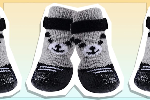 9PR: AblePet Dog Boots, Black
