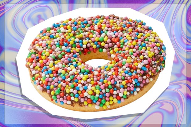 9PR: Pooch Treats Doggy Donuts