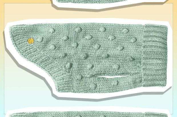 9PR: Sebastian Says Bobble Wool Dog Sweater, Mint