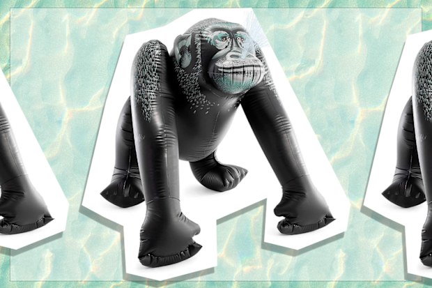 9PR: Intex Giant Gorilla Sprinkler 