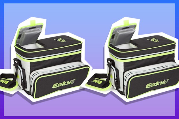 9PR: Esky 16 Can Hybrid Cooler with Ice Brick