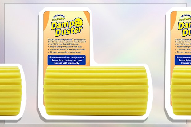 9PR: Scrub Daddy Damp Duster