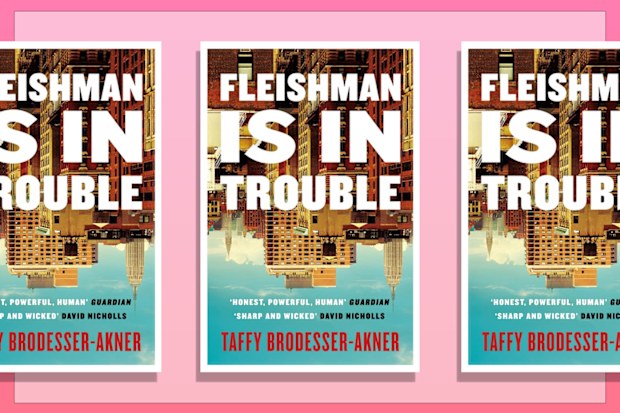 9PR: Fleishman is in Trouble by Taffy Brodesser-Akner book cover