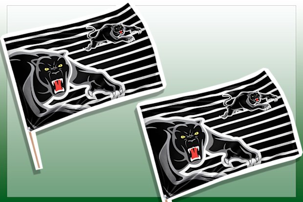 9PR: Penrith Panthers NRL Flag Banner